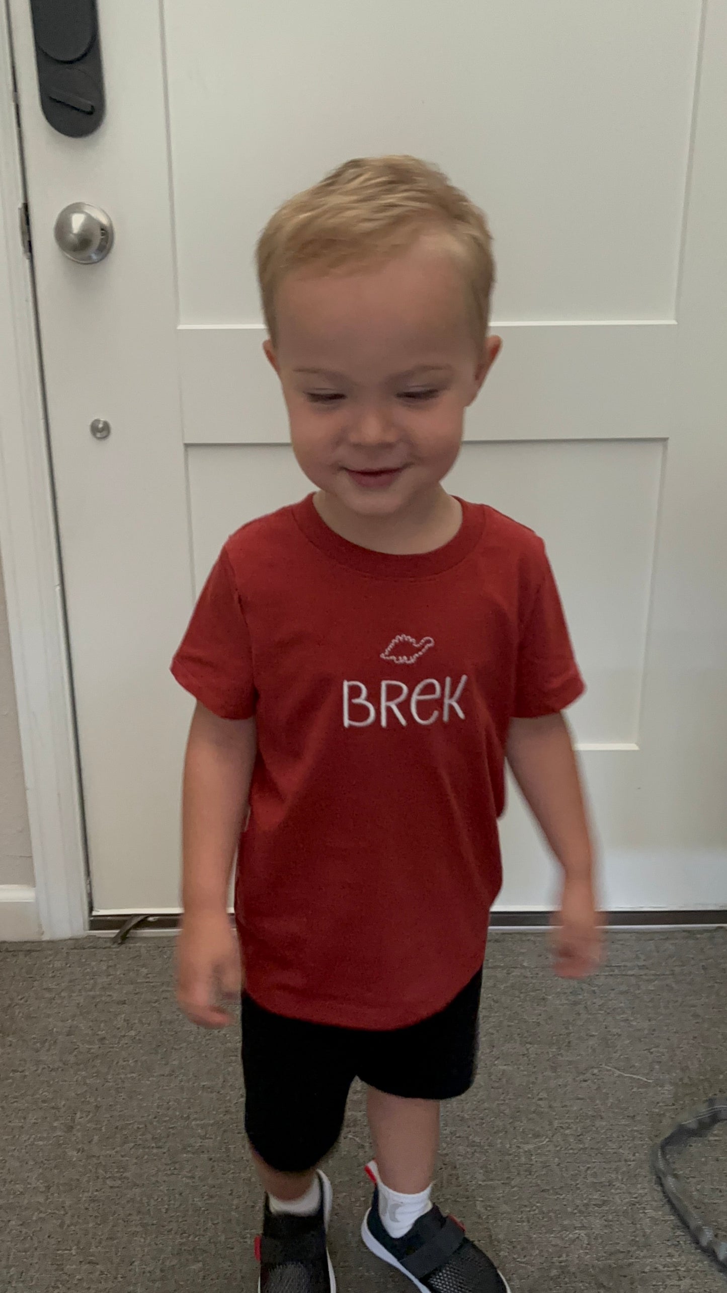 The Dino Toddler Tee