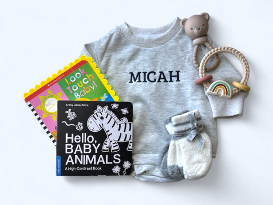 The Ultimate Baby Shower Gift - boy